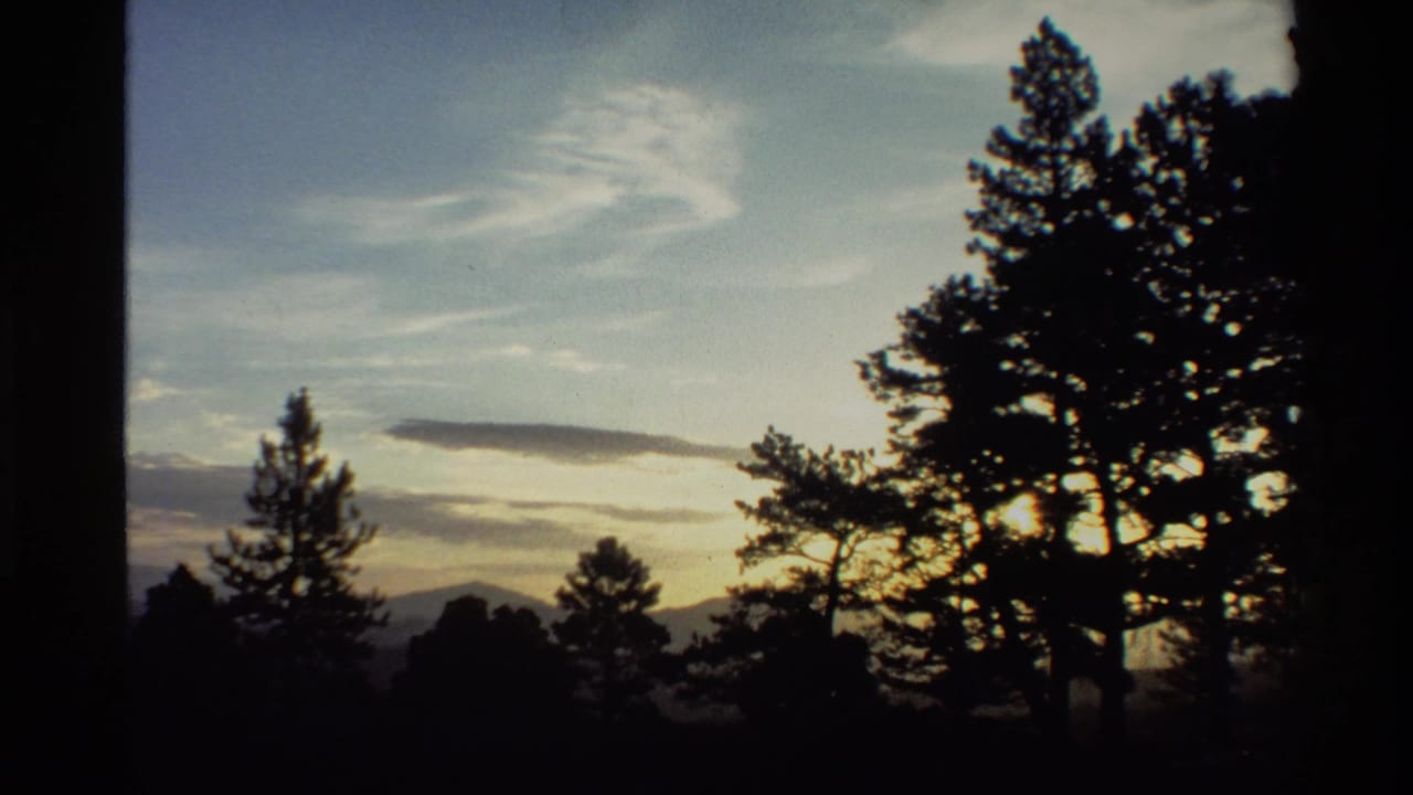 1980 Western U.S. home-movie frame showing tall dark pines, a pale dusk sky, and distant mountain forms at sunset.