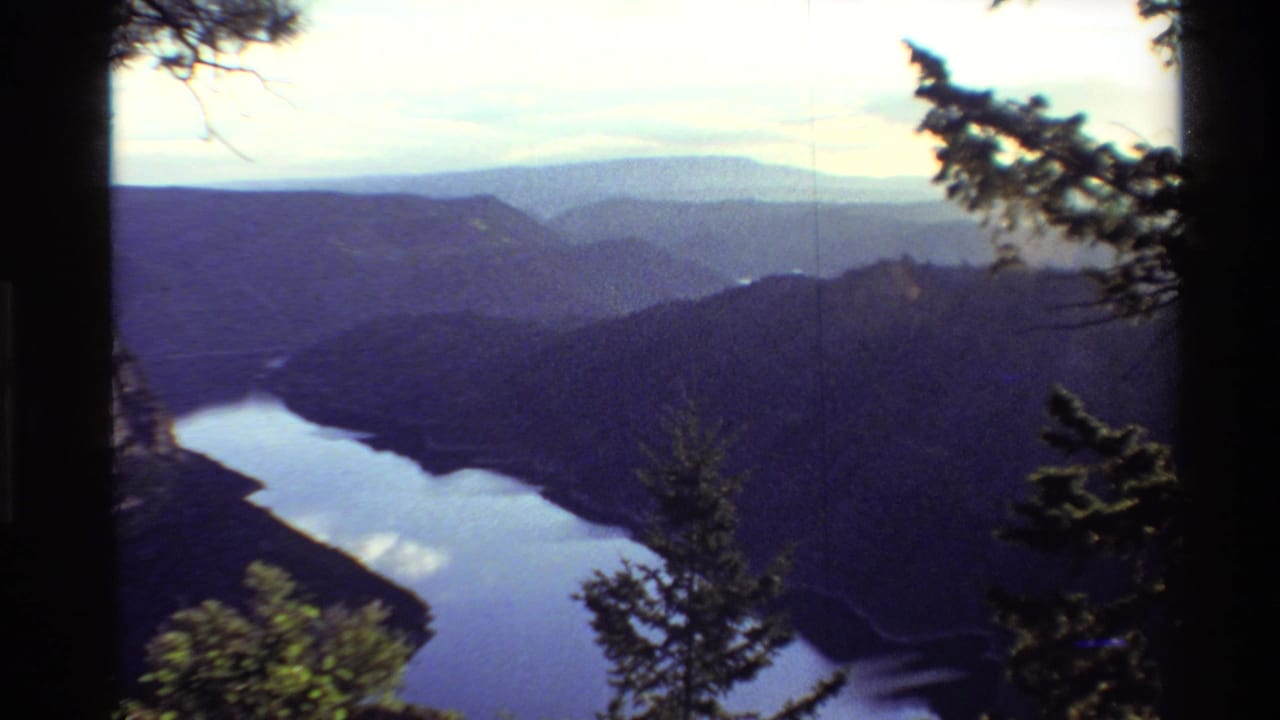 1980 Western USA scenic frame showing a lake below layered mountain ridges, with evergreen branches and 8mm film softness.
