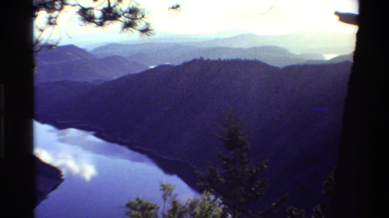 1980 Western U.S. 8mm frame showing blue water below dark forested slopes, with a large tree trunk dividing the overlook view.
