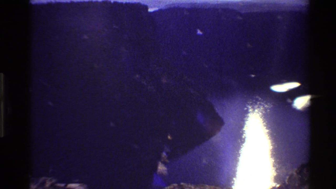 River and dark valley walls with intense reflected light on the water.