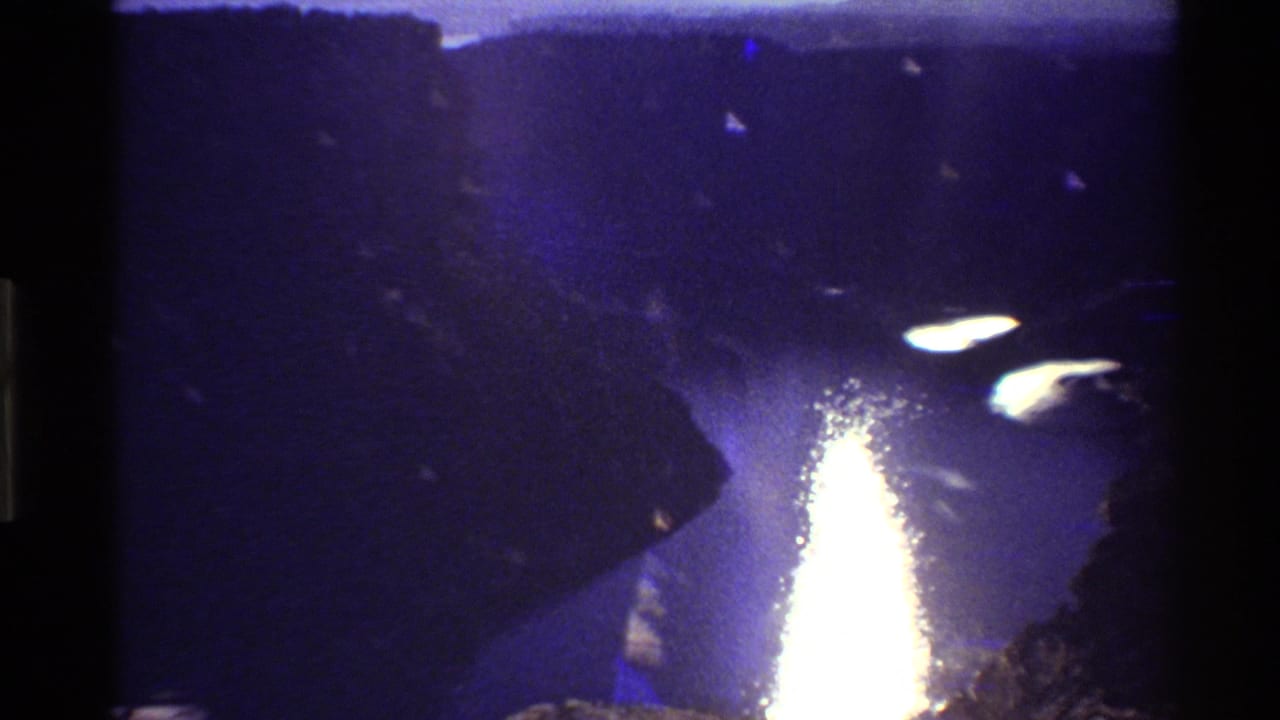 1980 8mm landscape frame with blue-purple exposure, a bright river reflection, and dark canyon-like slopes.