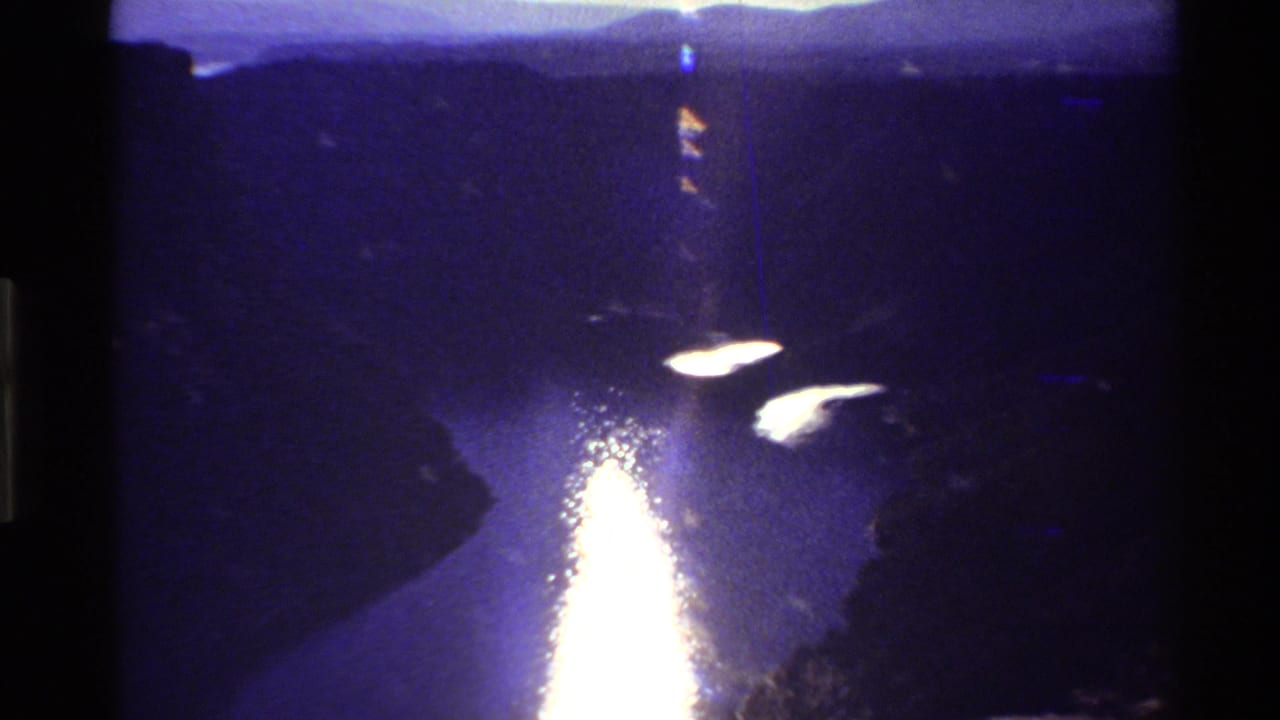 A river winds through a shadowed canyon with bright glare on the water.