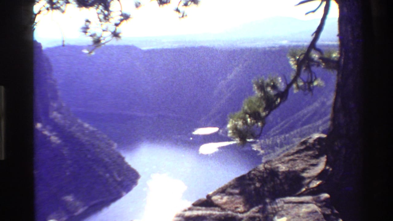 A wider 1980 Western USA canyon view includes pine branches, foreground rock, pale river water, and hazy mountain ridges.