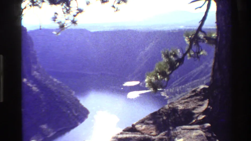 A wider 1980 Western USA canyon view includes pine branches, foreground rock, pale river water, and hazy mountain ridges.