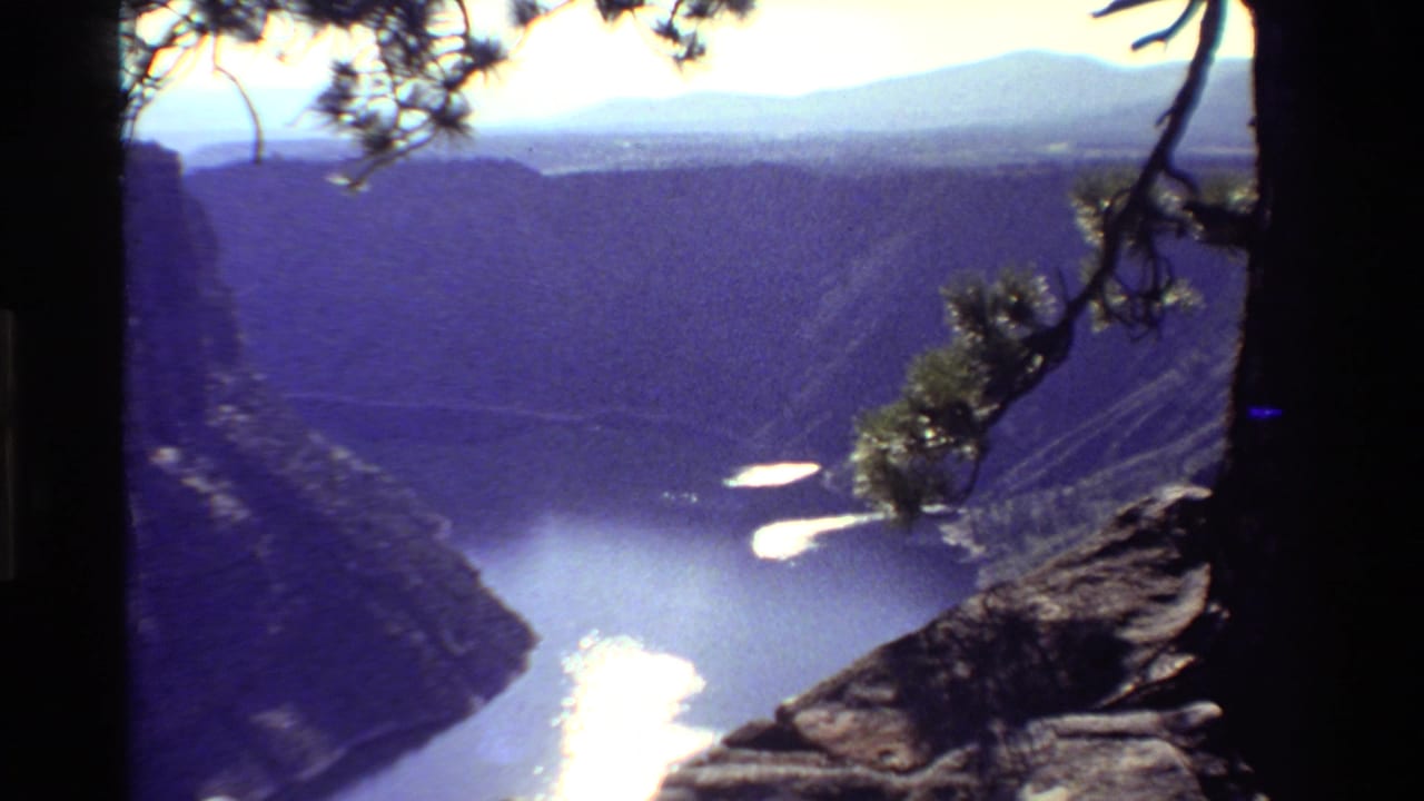 The final 8mm frame looks across a steep Western canyon toward river water, mountains, pine branches, and strong sun flare.