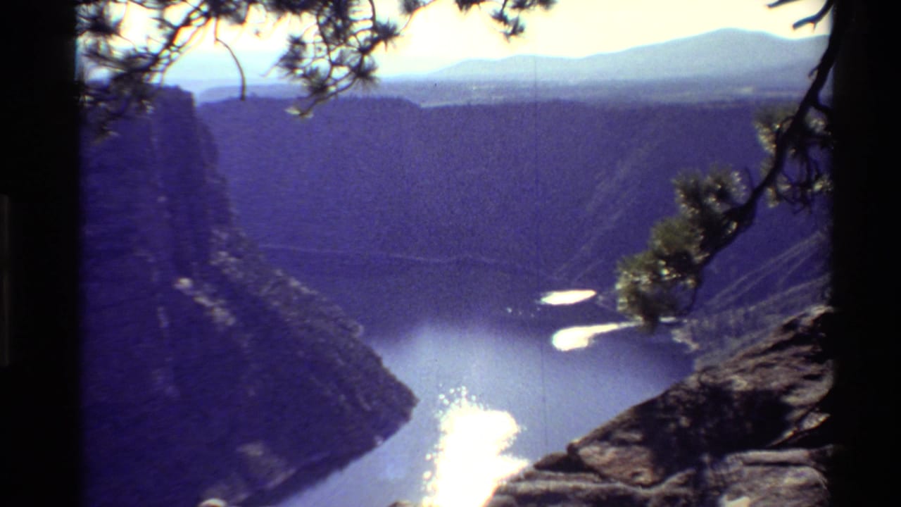 Canyon river view with bright sun reflections on water and pine branches at the right edge.