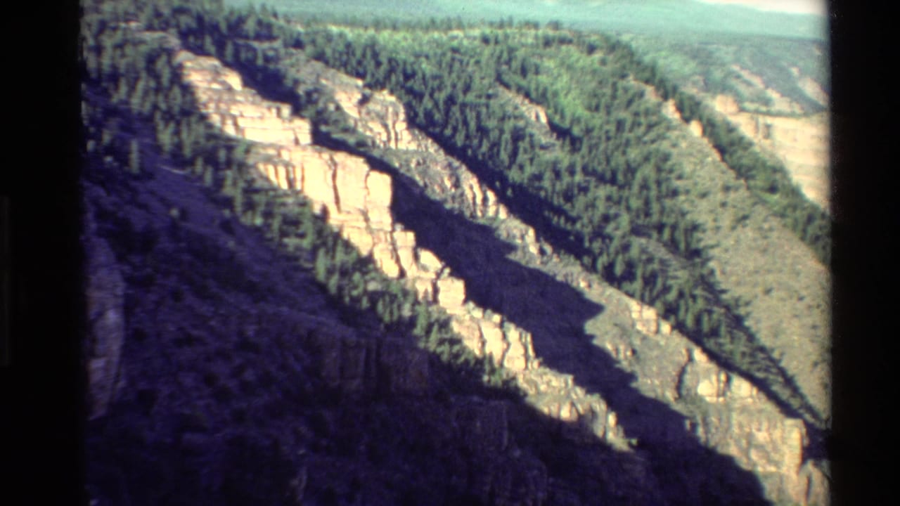 Forested canyon ridge with bright stratified rock and distant hills.