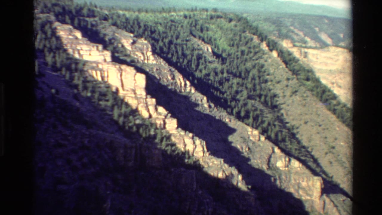 1980s Western USA 8mm frame showing a steep layered canyon slope with dense pine cover and strong shadow.