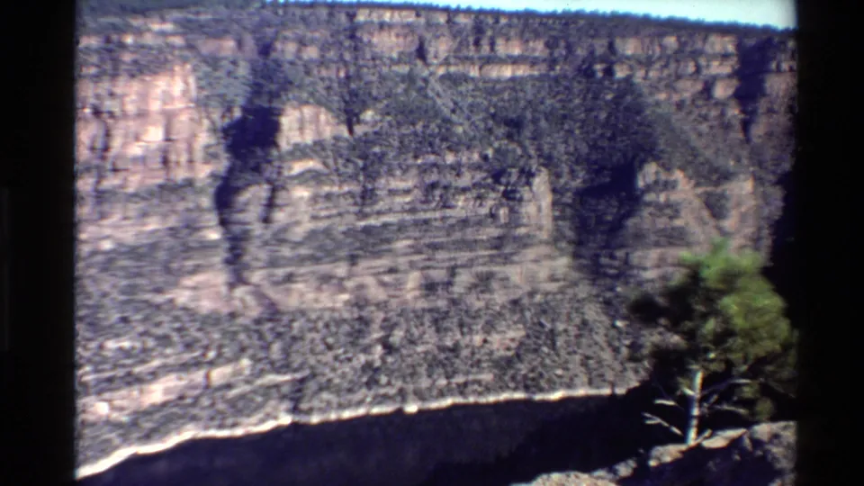 1980 8mm home-movie frame of a canyon panorama with a lone foreground tree adding scale at the lower right.
