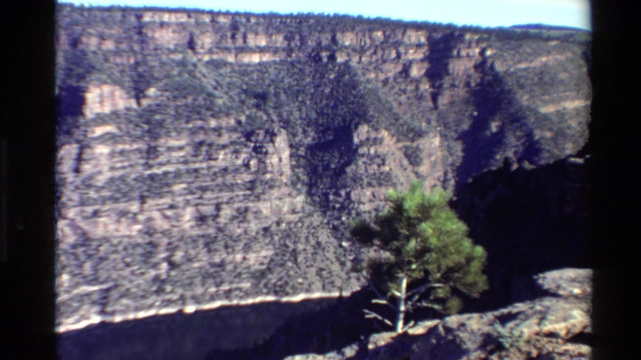 1980 8mm Western U.S. canyon view with stratified rock walls, deep shadows, and a lone evergreen in the foreground.