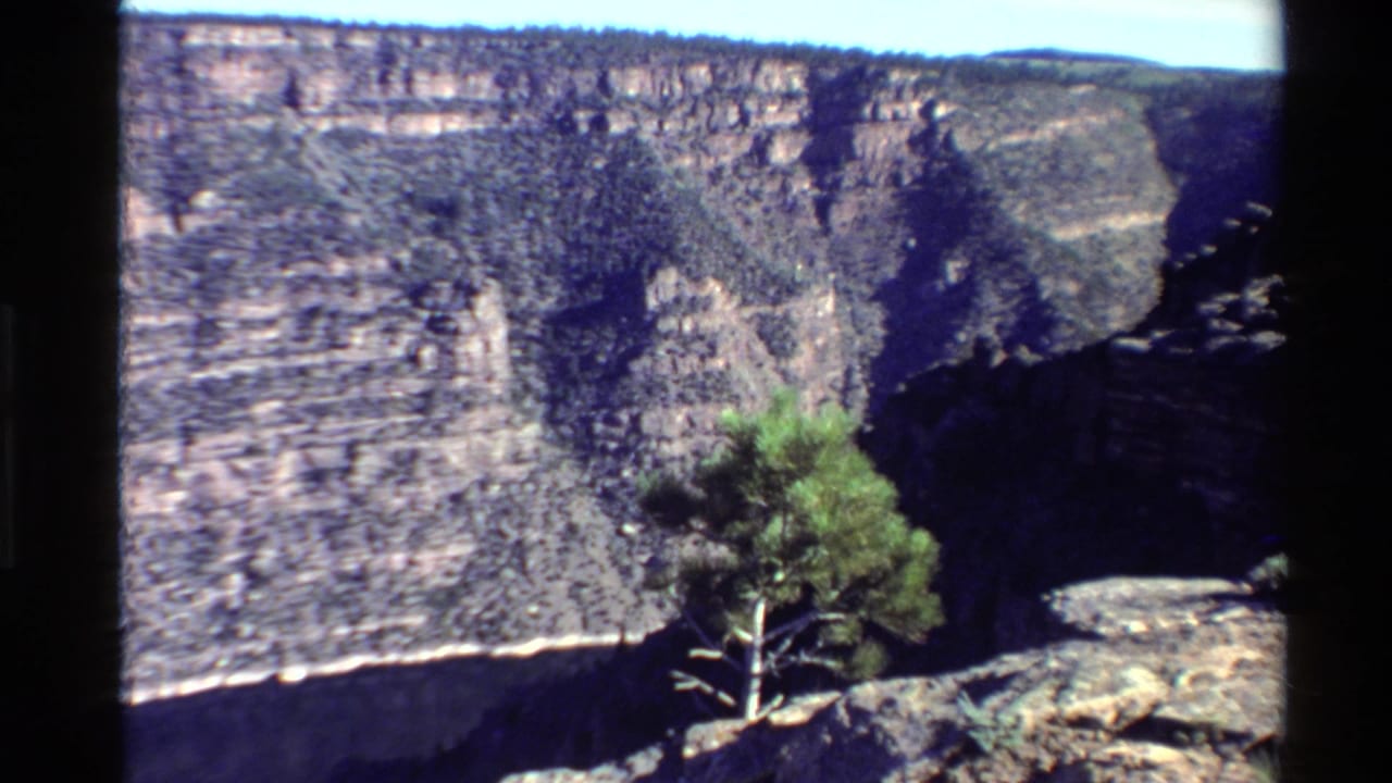 Canyon wall and foreground evergreen seen from a rocky rim.