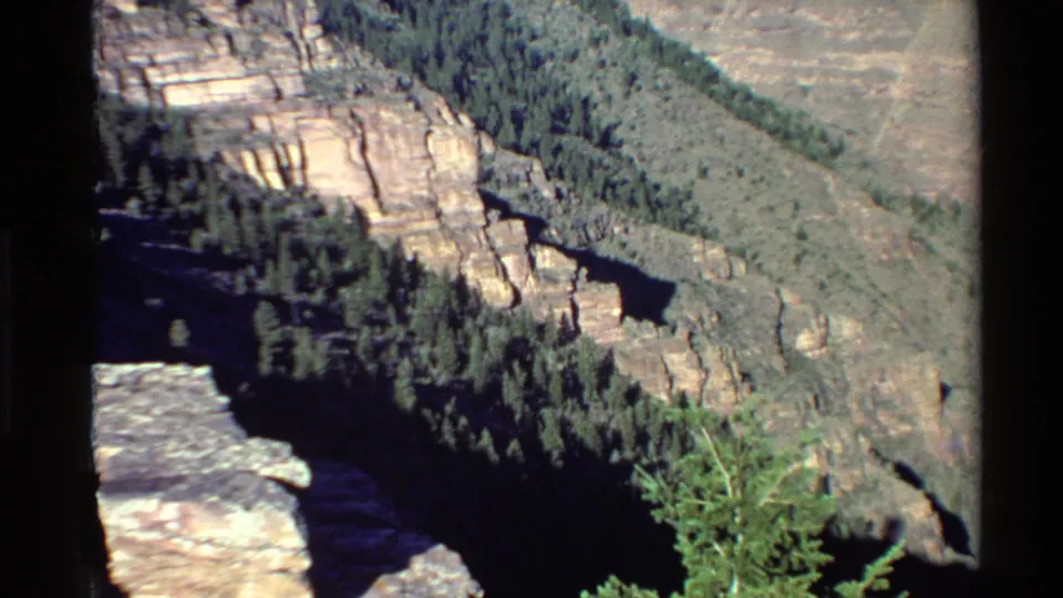 Western U.S. canyon overlook with a rocky ledge, conifer trees, layered cliffs, and a narrow dark river or watercourse far below.