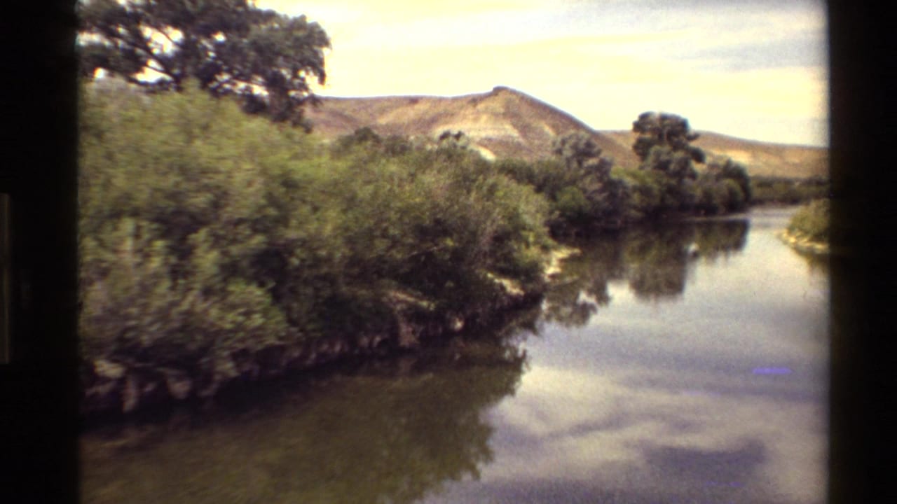 Tree-lined waterway with shrubs, reflected sky, and low hills in the background.
