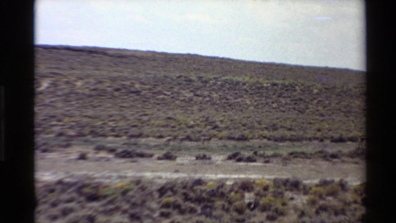 The final 8mm frame holds on arid Western U.S. brushland and hillside, with the animals no longer clearly distinguishable.