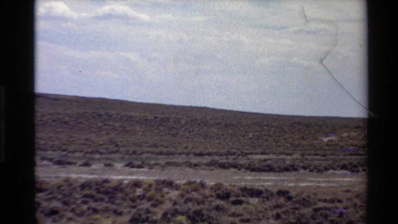Open scrub plain with distant running antelope and low hills under a pale sky.