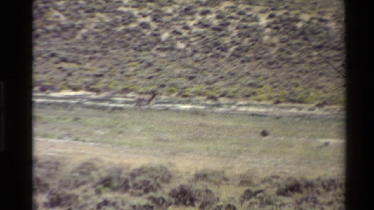 A small antelope runs left to right across a dry Western U.S. plain, framed by faded 8mm film edges.