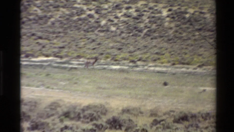A small antelope runs left to right across a dry Western U.S. plain, framed by faded 8mm film edges.