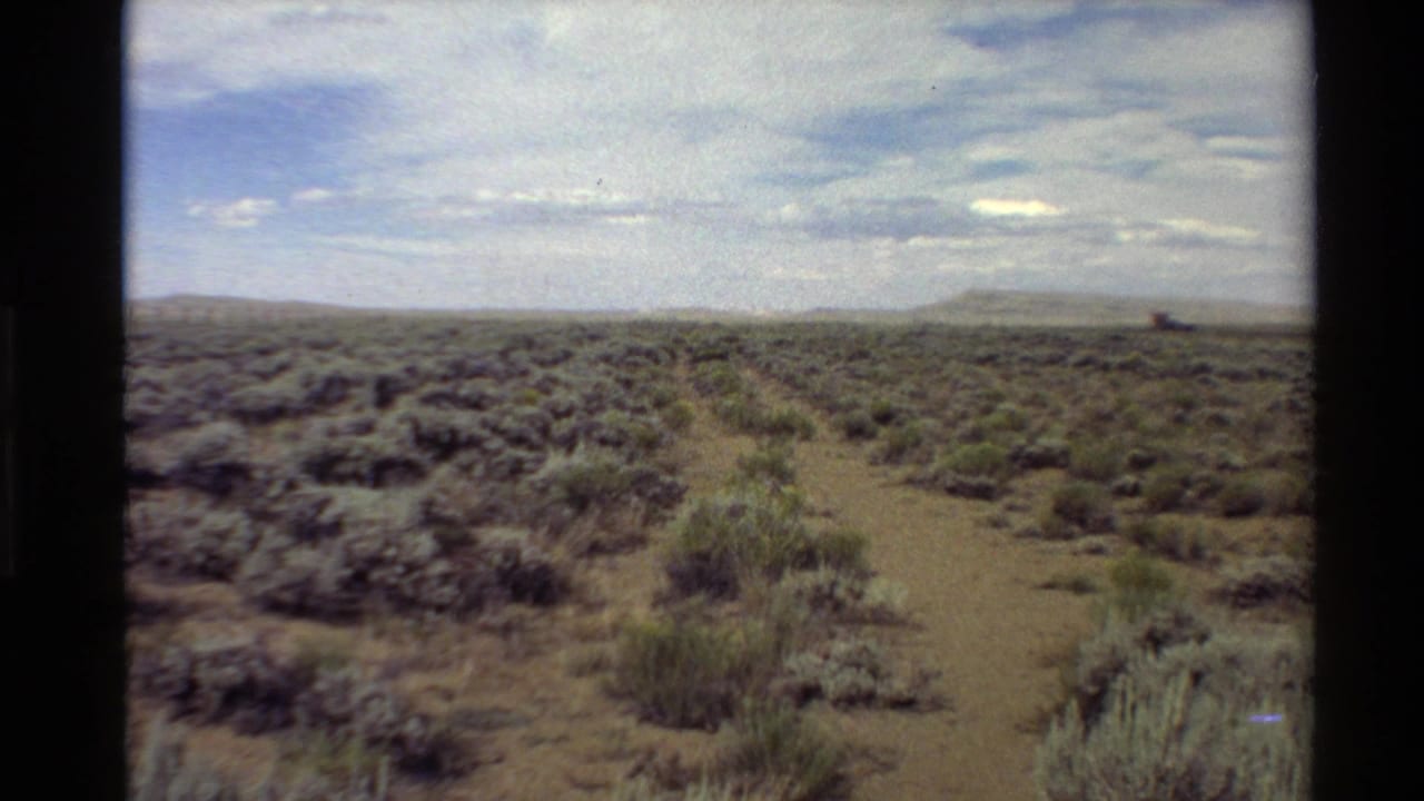 1980 8mm view of Western U.S. desert scrub, with a narrow sandy track crossing low brush toward a distant horizon.