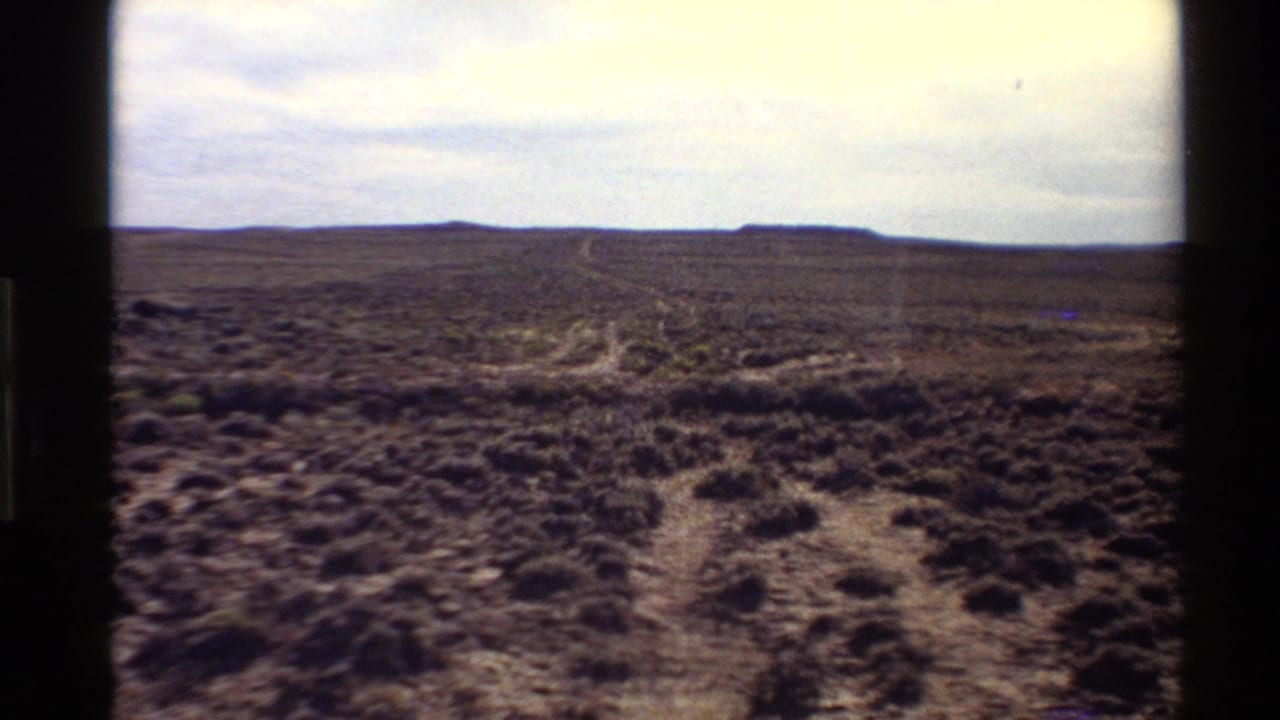 Western U.S. desert view on 8mm film, with low brush, a pale winding track, and flat distant hills under high light.