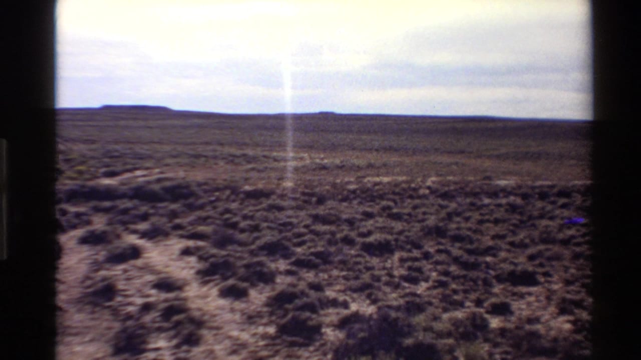 Flat desert scrubland under a pale sky, with distant low mesas and dark frame edges.