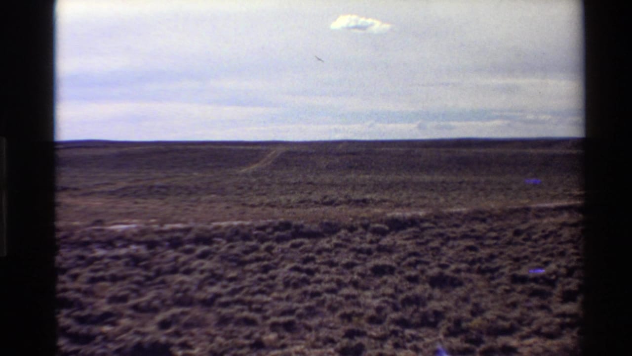 Desert plain with scrub and a faint track running toward the horizon.