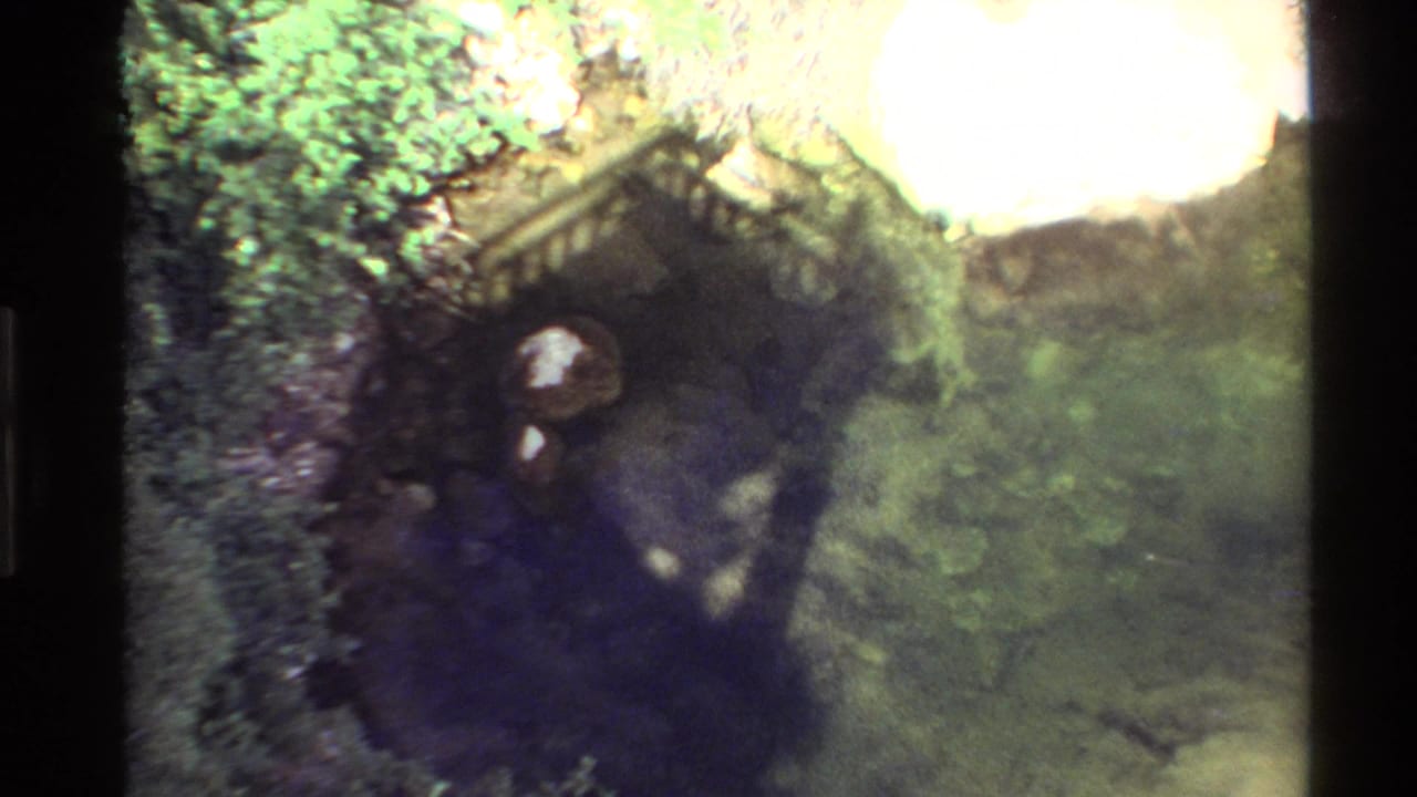 Dark cave-like entrance with vegetation and a small wooden structure near water.