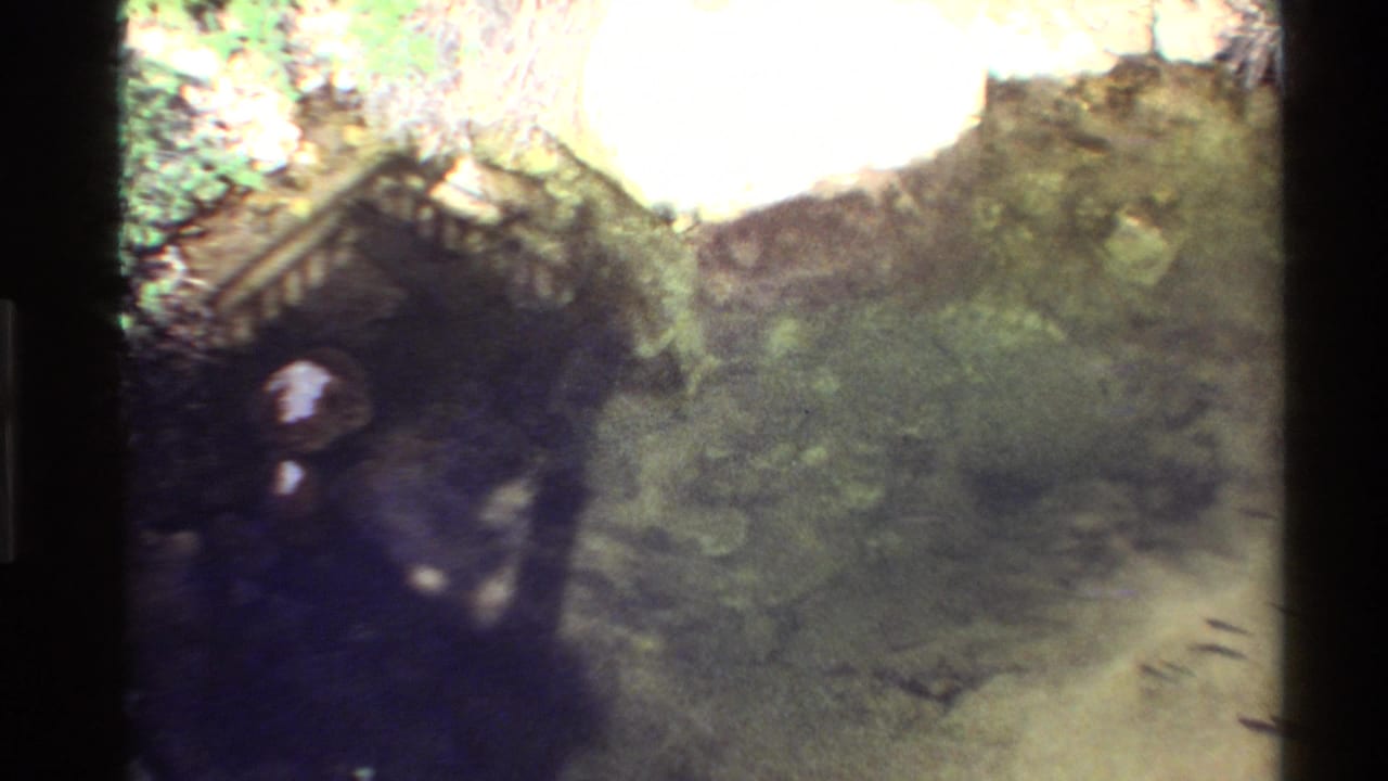 Soft 8mm view of a shaded cave-like opening with green growth and shallow water in a Western USA nature setting.