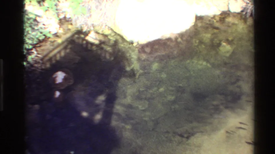 Soft 8mm view of a shaded cave-like opening with green growth and shallow water in a Western USA nature setting.
