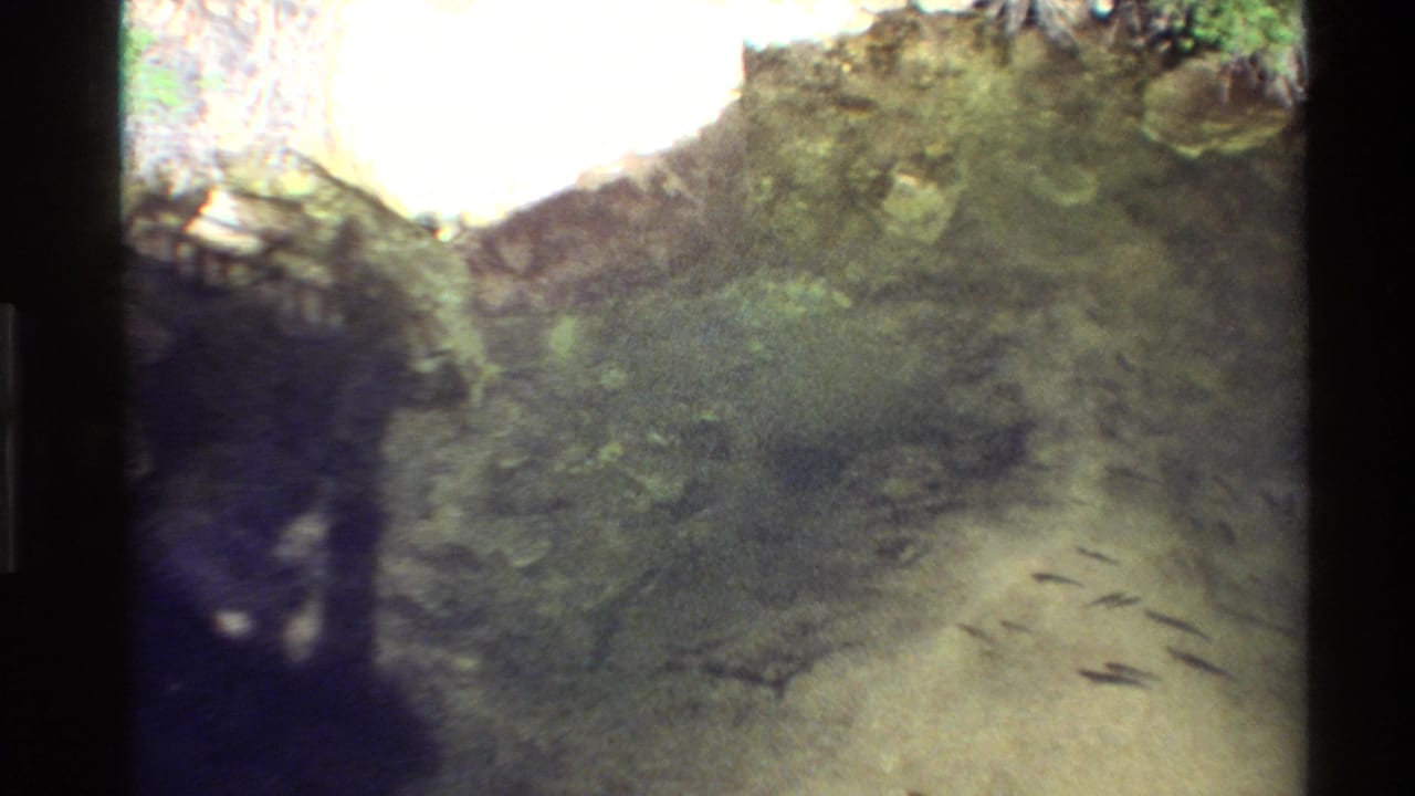 Western USA 8mm frame showing shallow clear water, small fish, and a shaded vegetated edge near the cave or spring area.