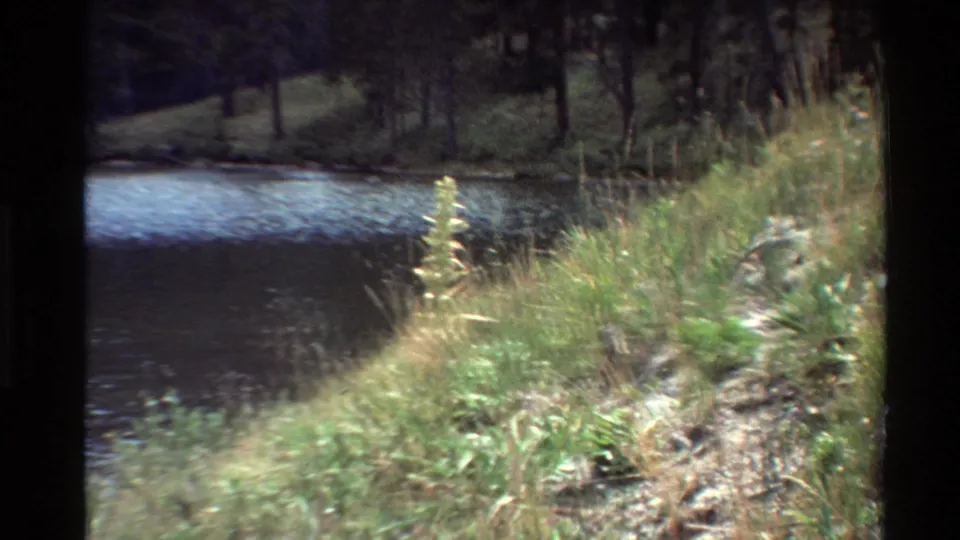 1980 home-movie frame of calm water, grassy bank, rocks, and a tree-lined opposite shore in the Western USA.