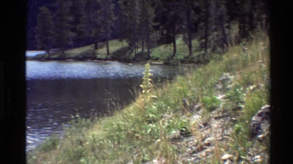 Soft 8mm frame showing blue-toned water, tall grasses, rocks, and a wooded far bank in the Western USA.