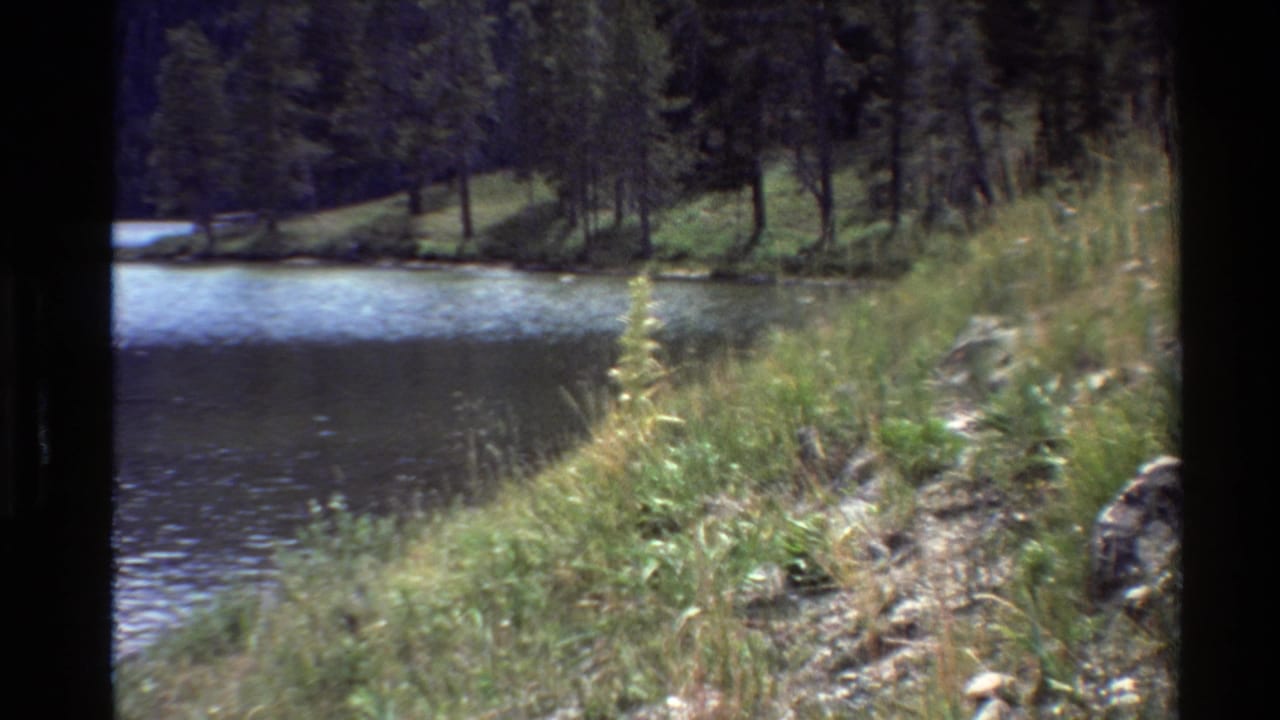 1980 8mm home-movie view of a quiet Western United States lakeshore bordered by grasses and evergreen trees.