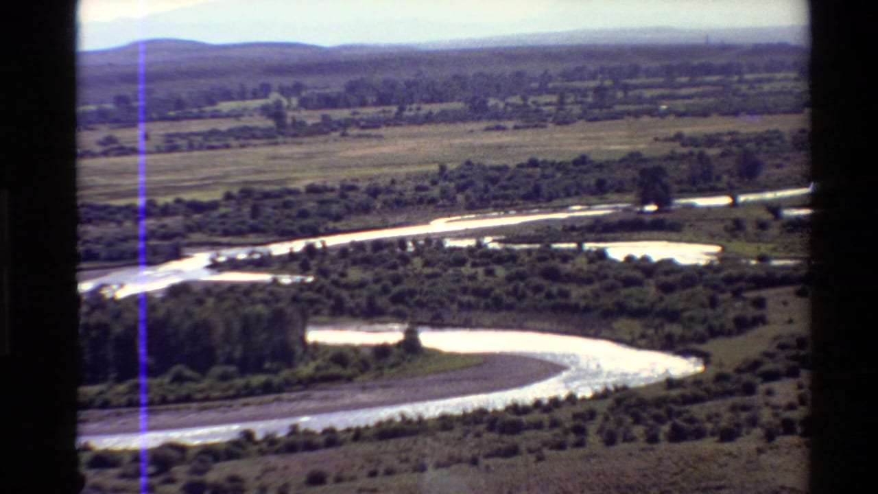 Aerial river landscape with reflective water, trees, plain, and distant mountains.