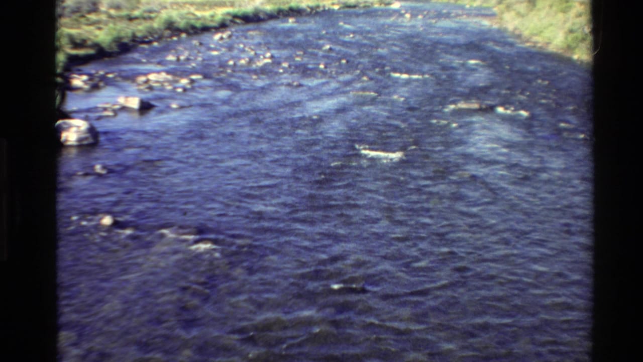 River current fills the frame with rocks near the bank and grass above.