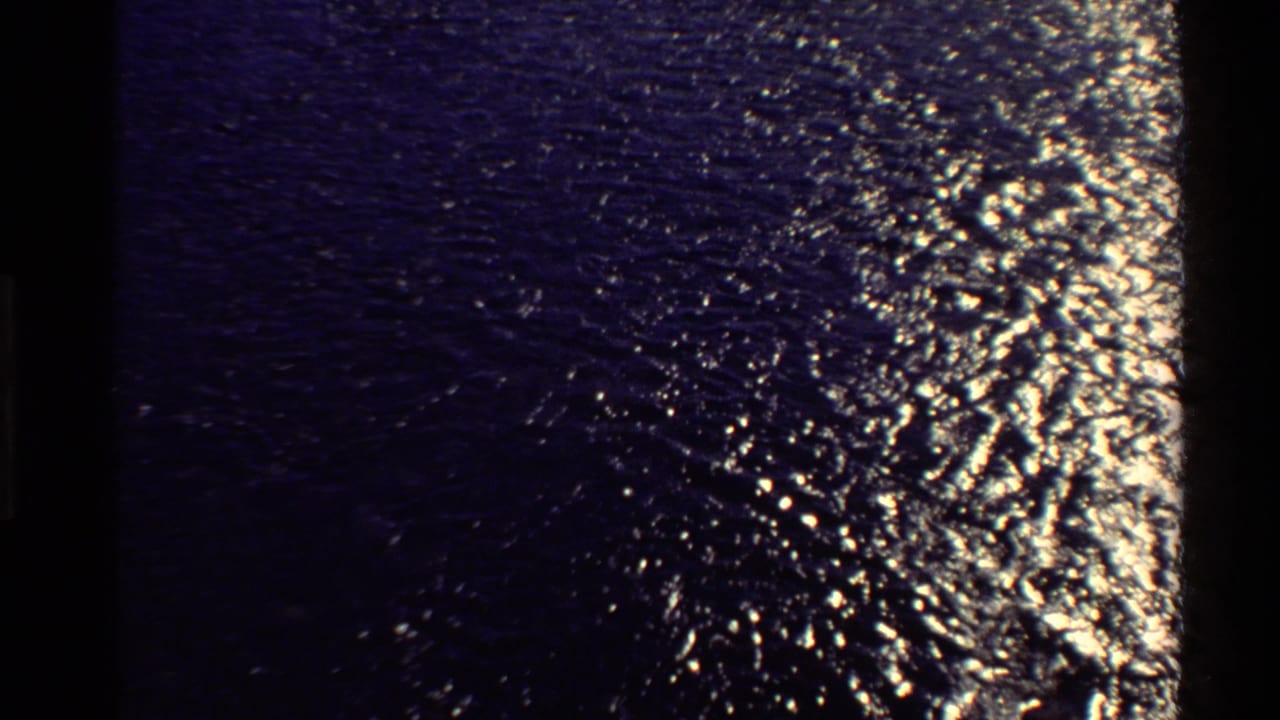 Dark blue rippling water with bright sunlight reflections across the surface.