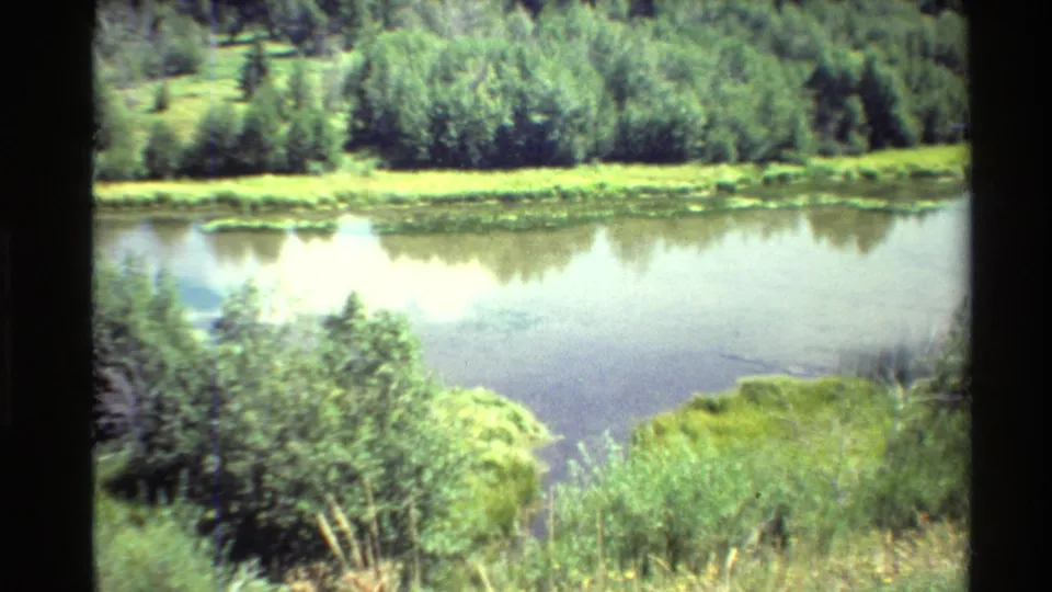 1980 Western U.S. home-movie frame showing a reflective lake edge with shrubs, grass, and dense evergreen trees.