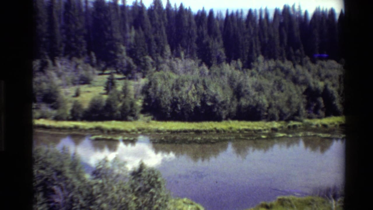 Calm lake bordered by grass, shrubs, and evergreen trees with reflections on the water.