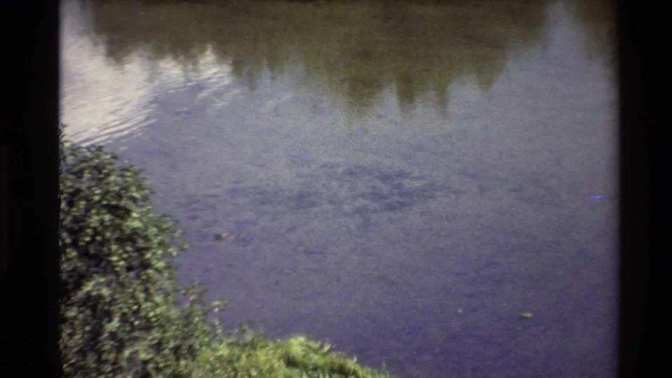 1980 Western USA 8mm frame ending on a closer lake surface, with shoreline foliage low in frame and muted tree reflections.