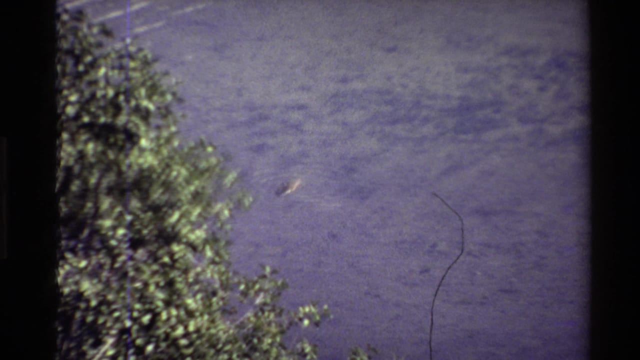 A lone duck crosses open pond water in a faded 8mm home-movie frame, with shoreline foliage visible along the left side.