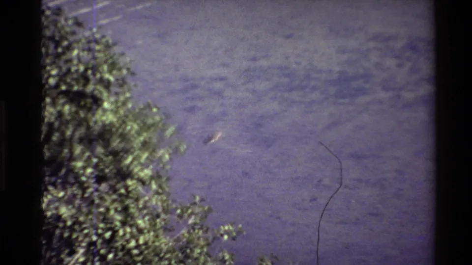 A lone duck crosses open pond water in a faded 8mm home-movie frame, with shoreline foliage visible along the left side.