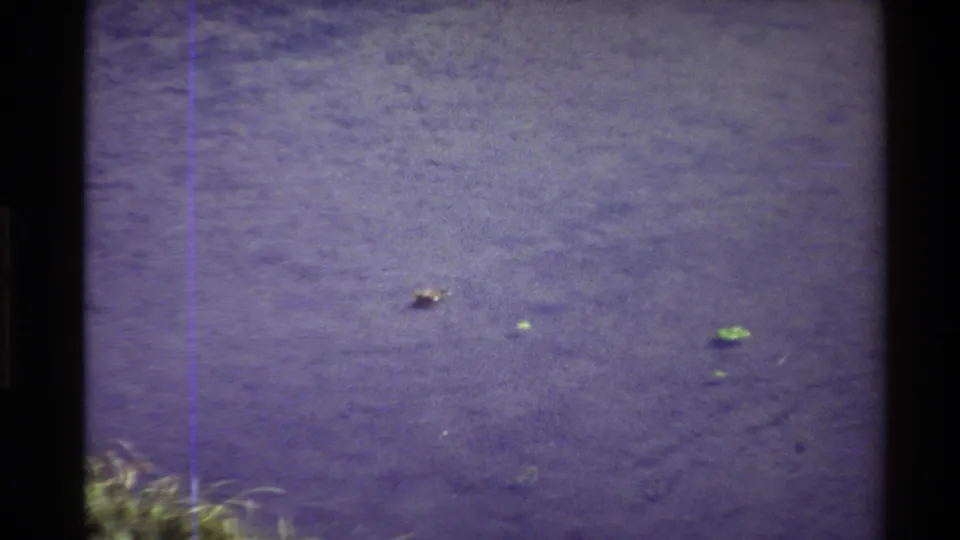 A small duck sits on rippled pond water in a 1980 United States 8mm frame, with floating leaves, faded color, and vertical film marks visible.