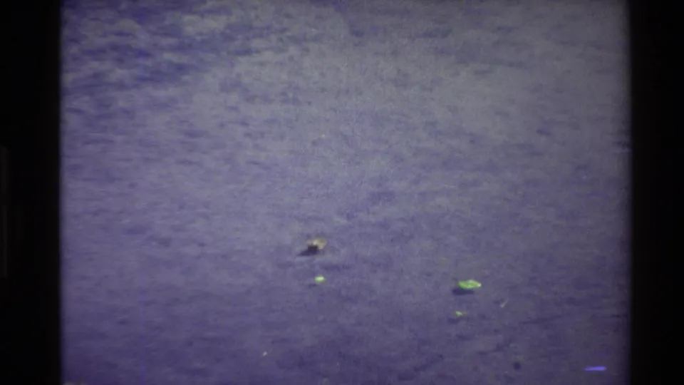 1980 Western USA 8mm frame with a small water bird on open rippled water, surrounded by a few floating green leaves.