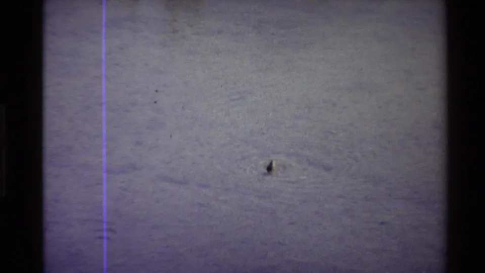 1980 Western U.S. 8mm frame showing the duck near the lower right, surrounded by soft ripples and analog film grain.