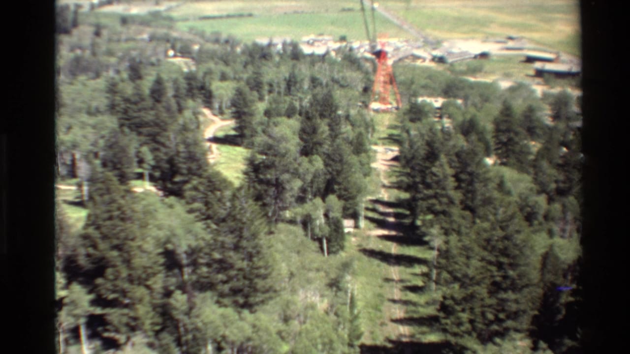Elevated view over evergreen trees with a red tower and open fields beyond.