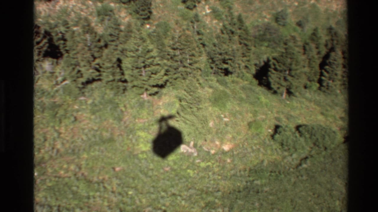 Aerial 8mm view in the Western USA showing the aircraft shadow moving across meadow and evergreen forest.