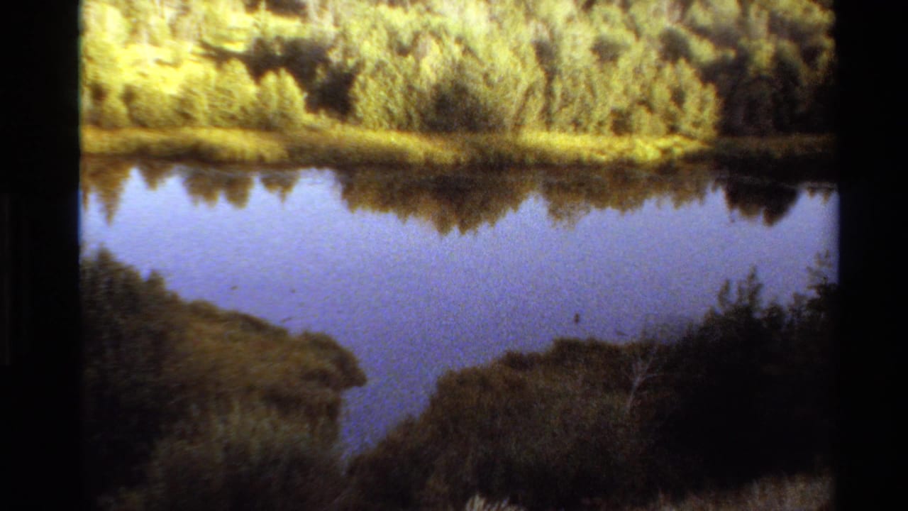 1980 Western USA 8mm frame showing a forest pond, shoreline vegetation, reflections, and a small dark waterfowl shape on the water.