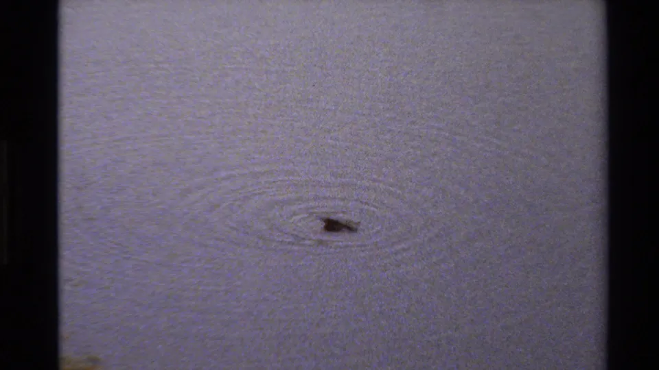 The duck appears partly submerged or diving on the pond surface, with circular ripples visible in the 8mm home-movie frame.