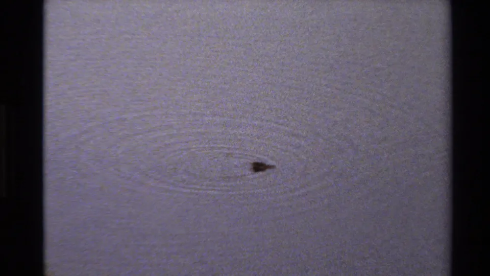 The duck is visible low on the water after a dive, surrounded by soft ripples in 1980 Western U.S. 8mm footage.