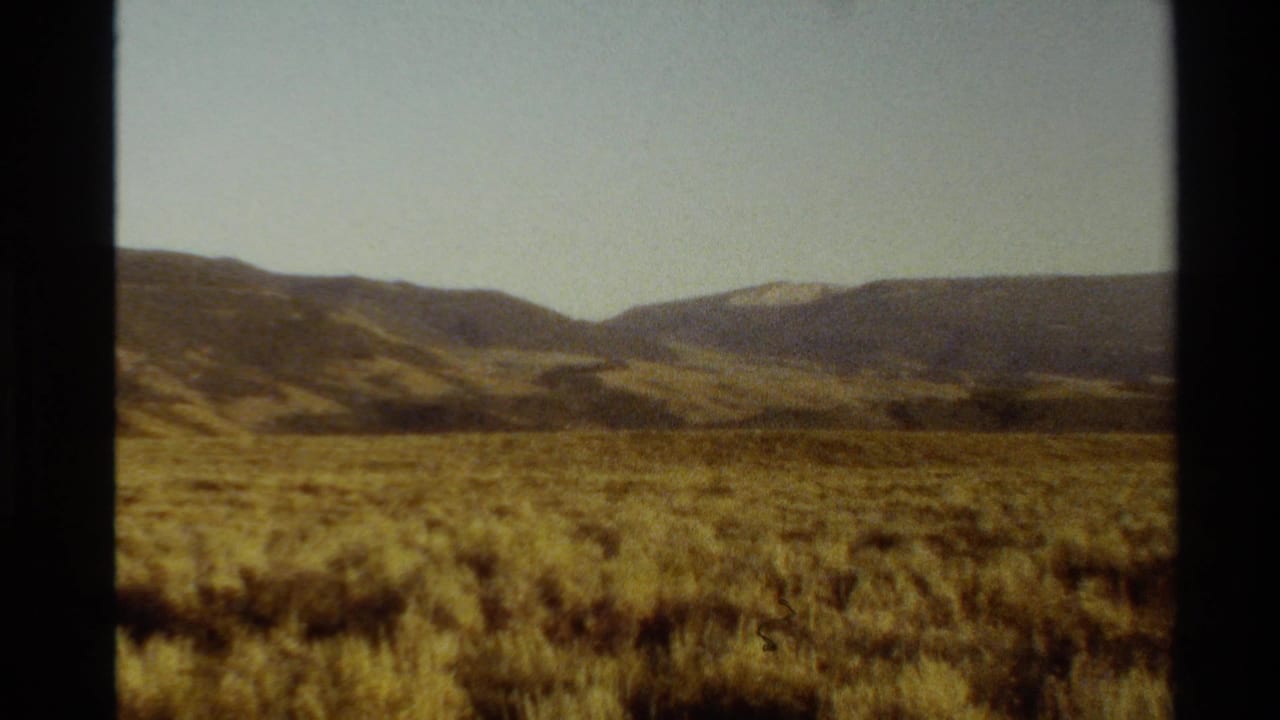 Golden meadow stretching toward low rolling mountains under a pale blue sky.