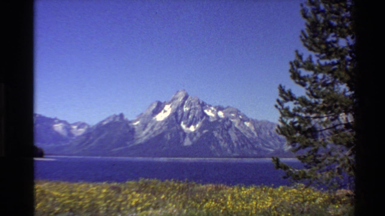1980s 8mm Western U.S. landscape view of a snow-capped mountain across a blue lake, with yellow wildflowers and an evergreen edge.
